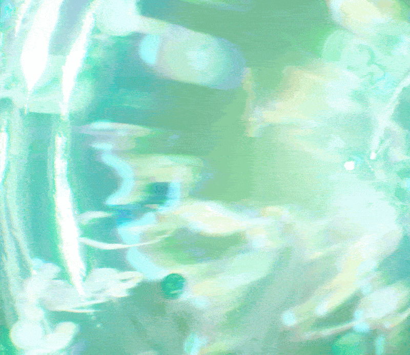 小金管