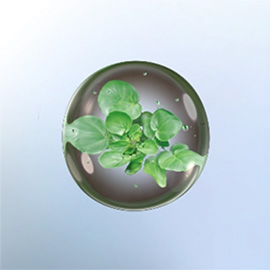 膠原修護因子